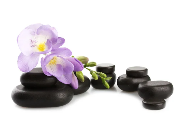 Spa 石头和紫色的小花，白色上孤立 — 图库照片