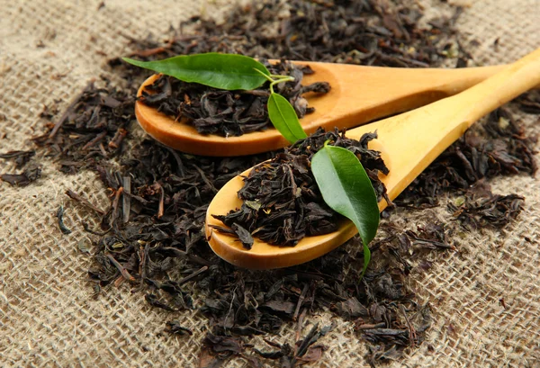 Dry tea with green leaves in wooden spoons, on burlap background — Stockfoto