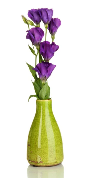 Buquê de flores de eustoma em vaso isolado em branco — Fotografia de Stock