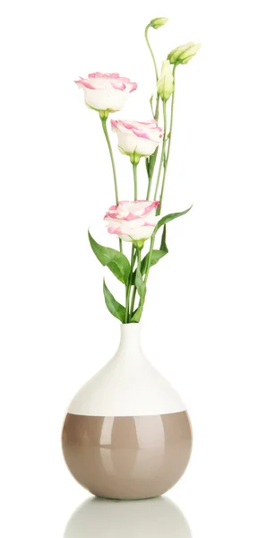 Boeket van eustoma bloemen in vaas geïsoleerd op wit — Stockfoto