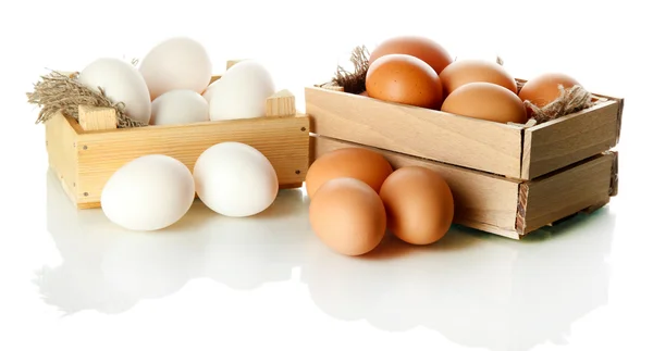 Many eggs in boxes isolated on white — Stock Photo, Image