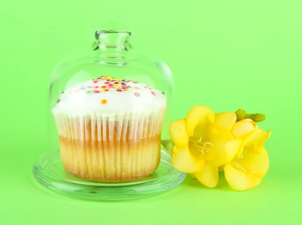 Cupcake sur soucoupe avec couvercle en verre, sur fond de couleur — Photo