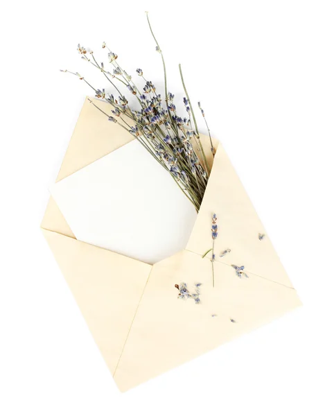 Envelope antigo com papel em branco e lavanda isolado em branco — Fotografia de Stock