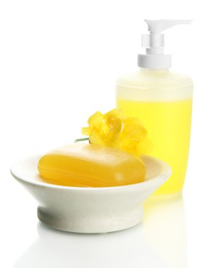 şişe ve Sabunluk ile üzerine beyaz izole sabun