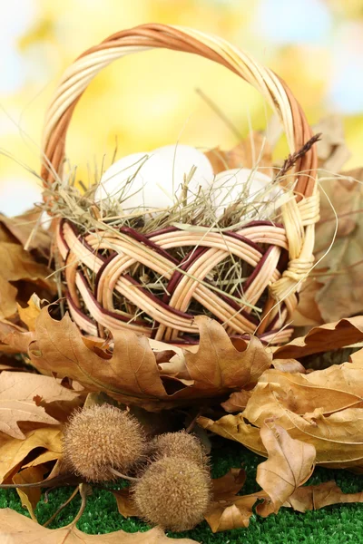 Easter eggs in wicker basket hidden in leaves — Stock Photo, Image