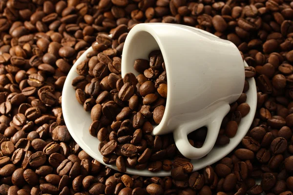 Filiżanka z ziarnem kawy, zbliżenie — Zdjęcie stockowe