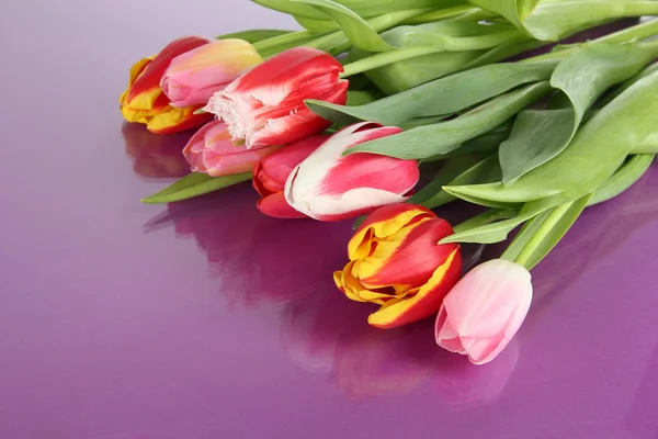 Красивые тюльпаны в ведре на фиолетовом фоне — стоковое фото