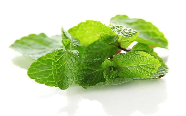 Mint isolated on white — Stock Photo, Image