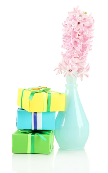 Mooie hyacint in vaas en prachtige geschenken, geïsoleerd op wit — Stockfoto