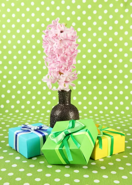 Όμορφη Υάκινθος στο βάζο και όμορφα δώρα, σε φόντο χρώμα — Φωτογραφία Αρχείου