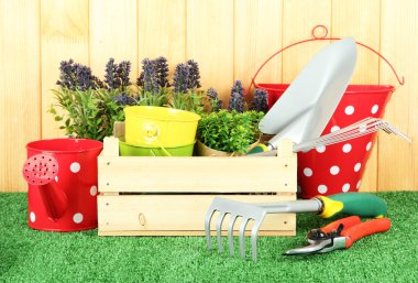 spa kase üzerinde beyaz izole kadın ayakları