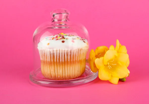 Cupcake on saucer with glass cover, on color background — Stock Photo, Image