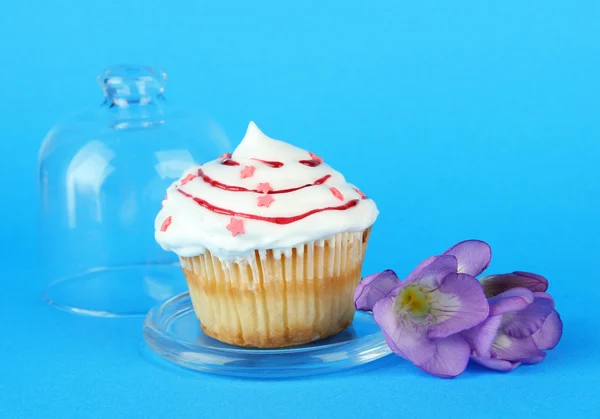 Cupcake sur soucoupe avec couvercle en verre, sur fond de couleur — Photo