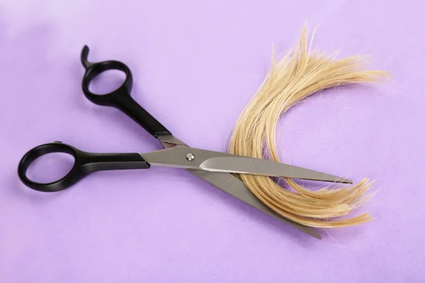 Pedaços de cabelo cortados com tesoura em fundo roxo — Fotografia de Stock