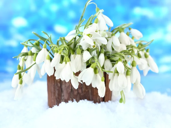 Buquê de flores de gota de neve em vaso com neve, em fundo brilhante — Fotografia de Stock