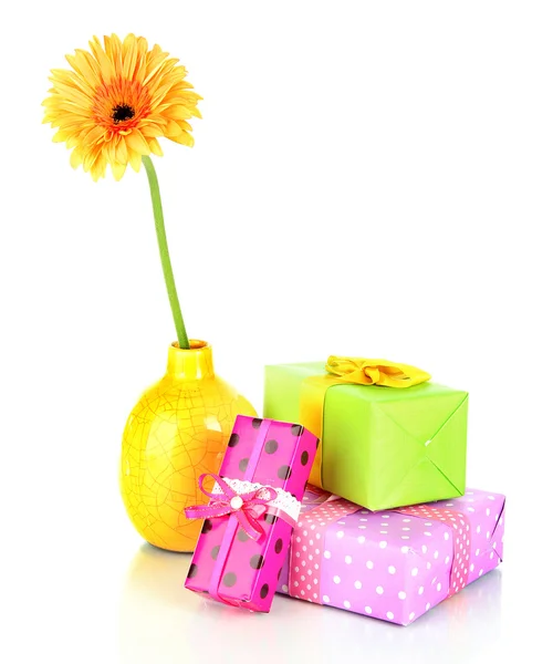 Hermosa flor Gerber con regalos aislados en blanco — Foto de Stock