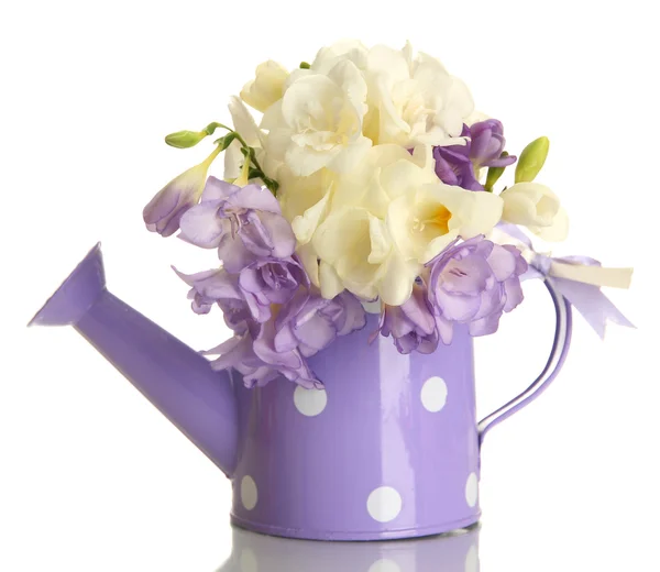 Beautiful bouquet of freesias in watering can, isolated on white — Stock Photo, Image