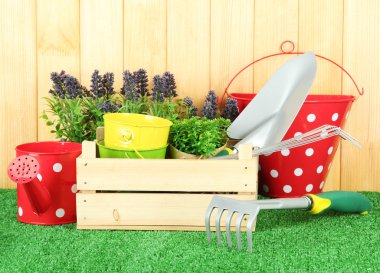 bahçede çimlerin üzerine Bahçe aletleri