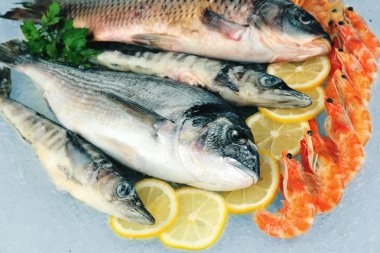 buz üstünde taze deniz ürünleri