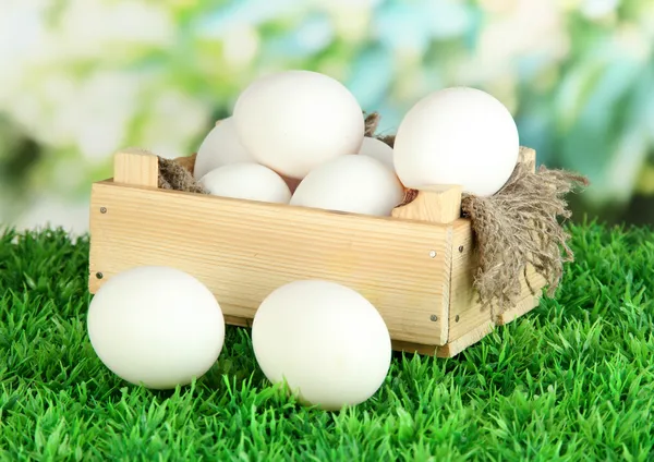 Muchos huevos en caja sobre hierba sobre fondo brillante —  Fotos de Stock