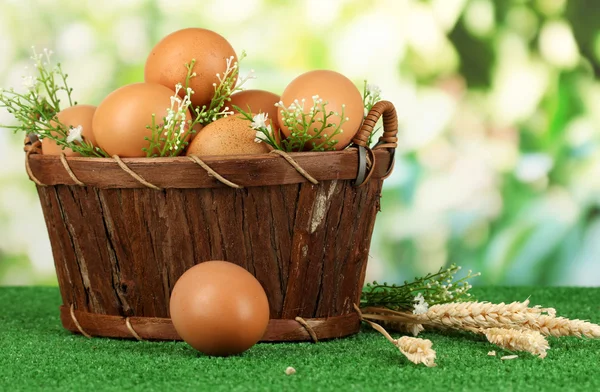 Huevos en canasta sobre hierba sobre fondo natural —  Fotos de Stock