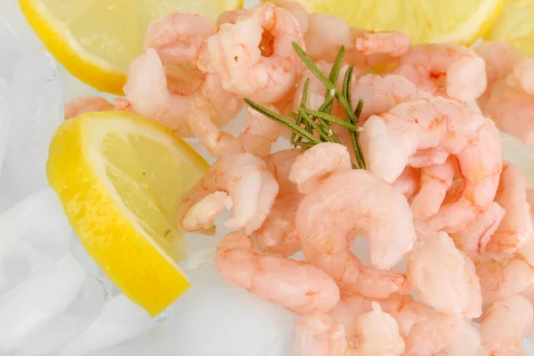 Shrimps on ice close-up — Stock Photo, Image