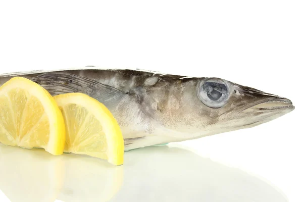 Fish isolated on white — Stock Photo, Image