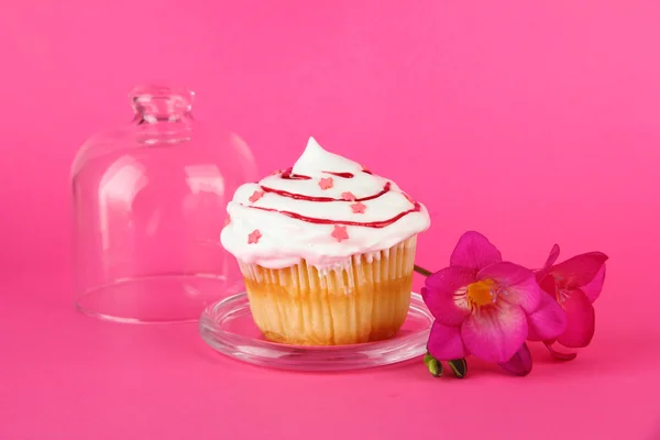 Cupcake sur soucoupe avec couvercle en verre, sur fond de couleur — Photo