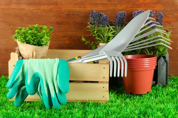 Garden tools on grass in yard — Stock Photo, Image