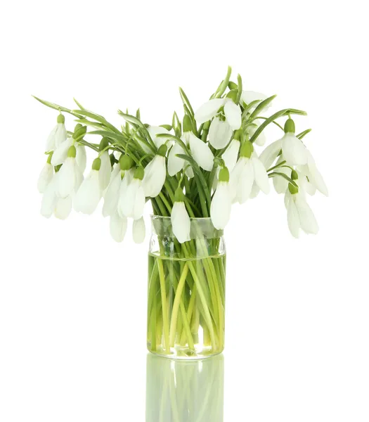 Bouquet of snowdrop flowers in glass vase, isolated on white — Stock Photo, Image