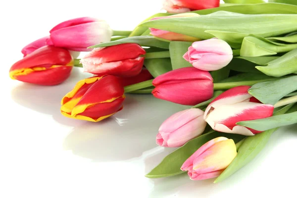 Beautiful tulips in bucket isolated on white — Stock Photo, Image