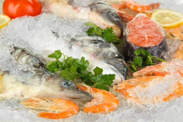 Fresh seafood on ice — Stock Photo, Image