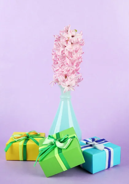 花瓶、美しいギフト、色の背景上で美しいヒヤシンス — ストック写真