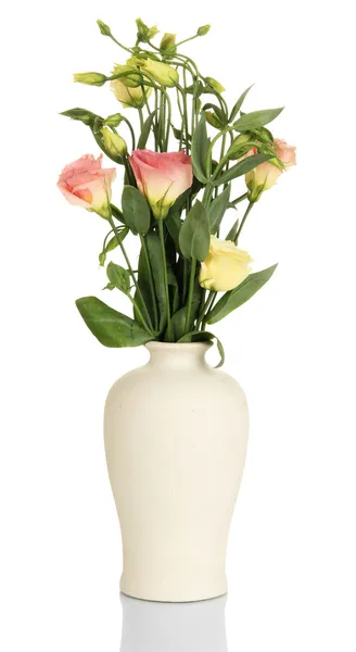 Bukiet eustoma kwiaty w wazonie na białym tle — Zdjęcie stockowe