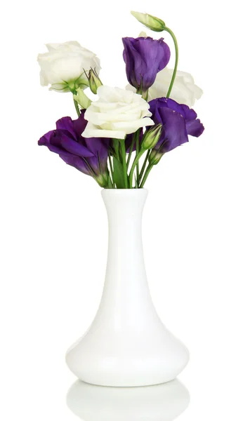 Buquê de flores de eustoma em vaso isolado em branco — Fotografia de Stock