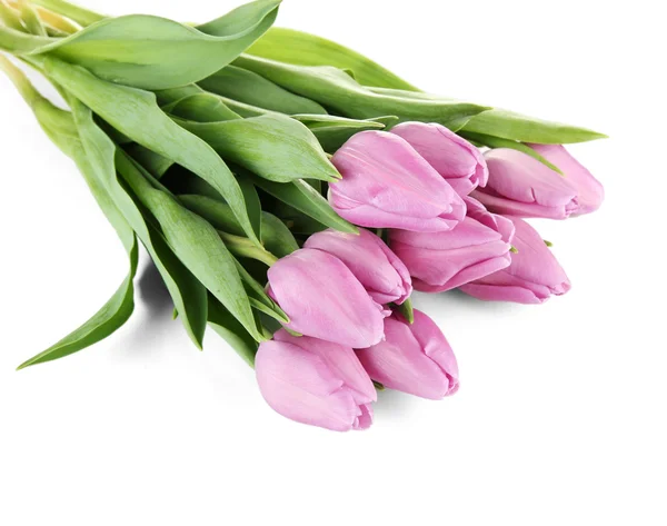 Beautiful bouquet of purple tulips, isolated on white — Stock Photo, Image