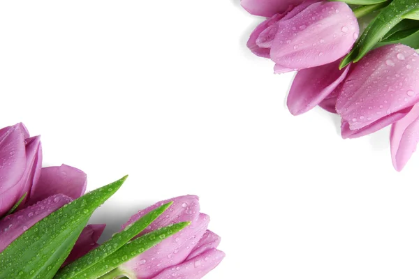 Vacker bukett lila tulpaner, isolerad på vit — Stockfoto