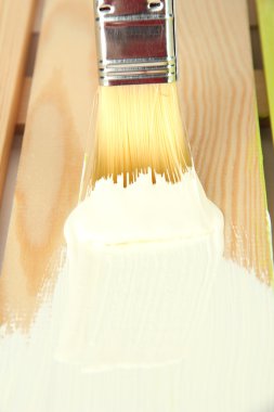Brush painting wooden furniture, close up clipart