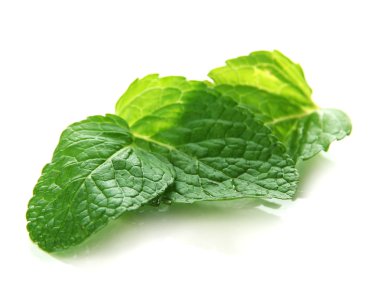 Beyazda izole edilmiş nane