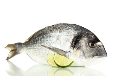 Dorado balığı üzerinde beyaz izole limon