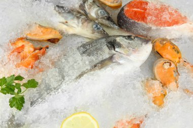 buz üstünde taze deniz ürünleri