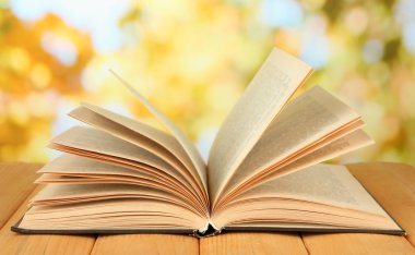parlak zemin üzerine açık kitap