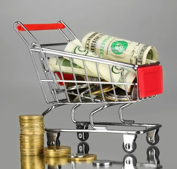 Geld im Einkaufswagen auf grauem Hintergrund — Stockfoto