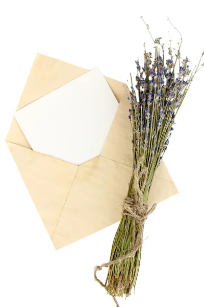 Envelope antigo com papel em branco e lavanda isolado em branco — Fotografia de Stock