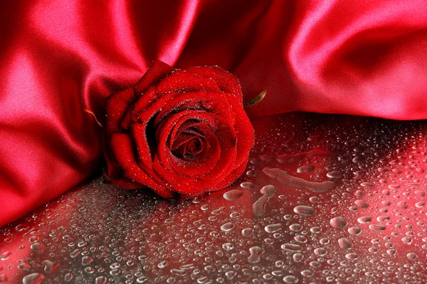 Beautiful red rose and silk fabric on wet grey background — Stock Photo, Image