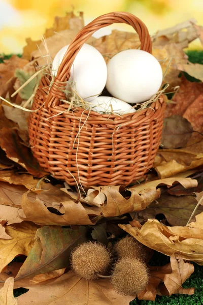 Easter eggs in wicker basket hidden in leaves — Stock Photo, Image