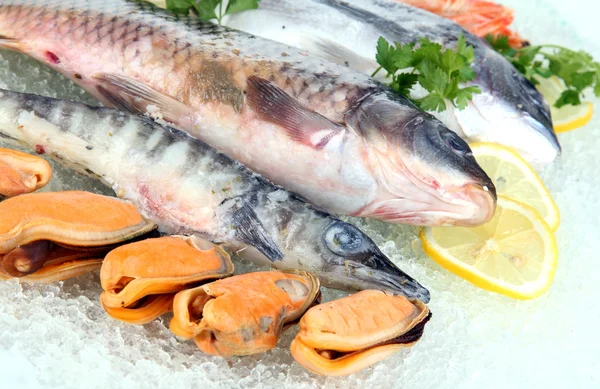 Fresh seafood on ice — Stock Photo, Image