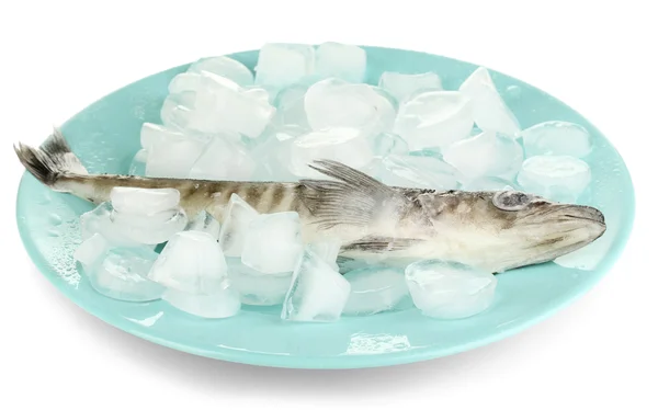 Замороженная рыба в тарелке со льдом изолированы на белом — стоковое фото