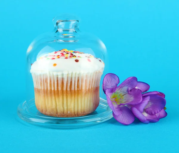 Cupcake on saucer with glass cover, on color background — Stock Photo, Image