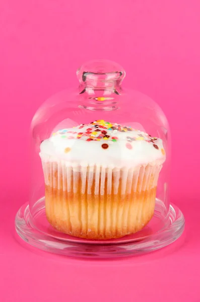 Cupcake em pires com tampa de vidro, em fundo de cor — Fotografia de Stock